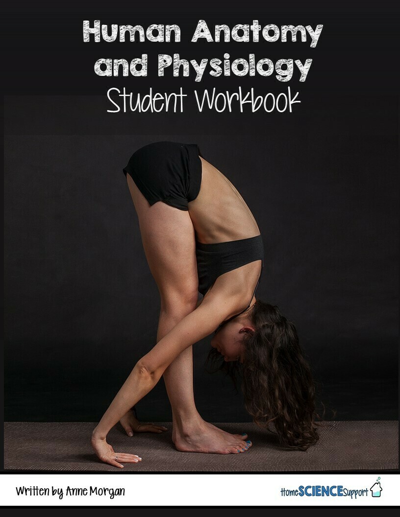 Human Anatomy &amp; Physiology Student Workbook