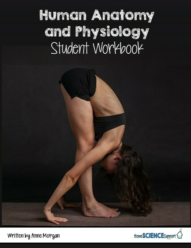 Human Anatomy &amp; Physiology Student Workbook