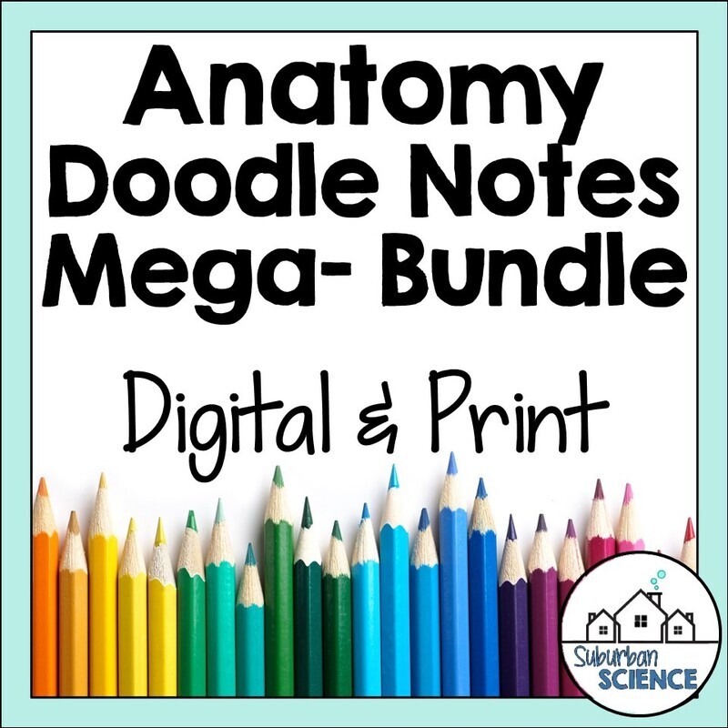 Anatomy and Physiology Doodle Notes Bundle