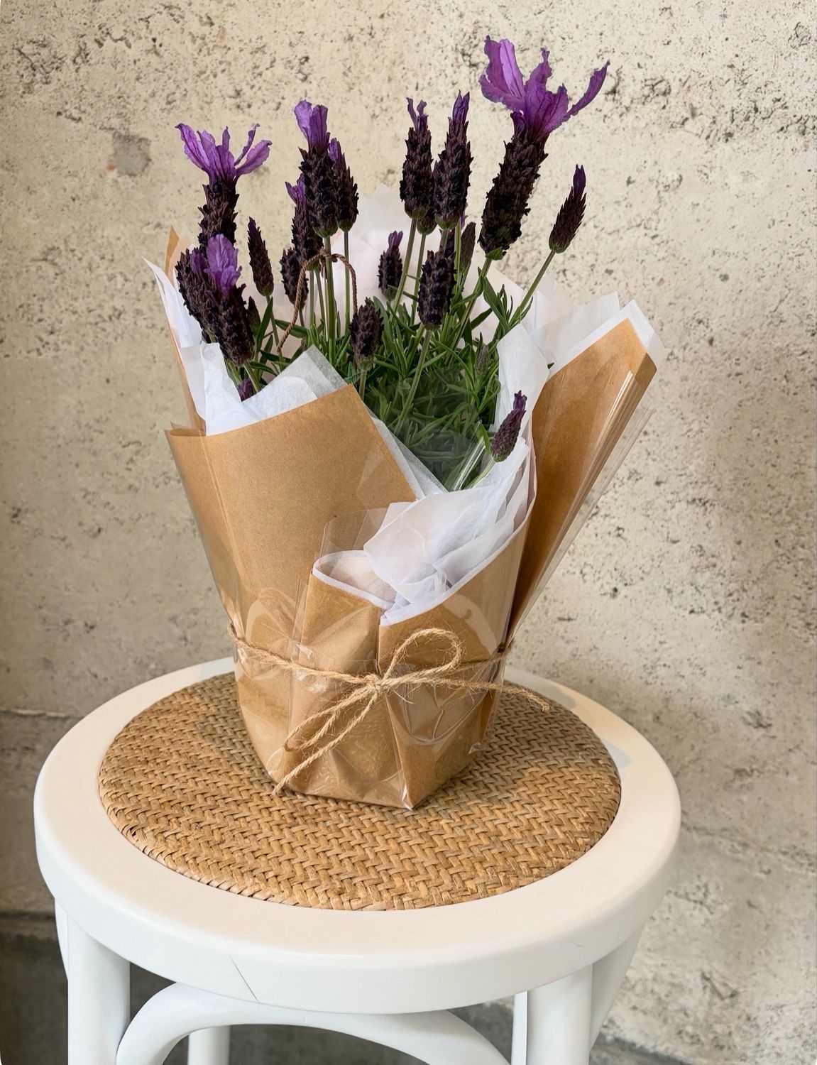 Pot Of Lavender