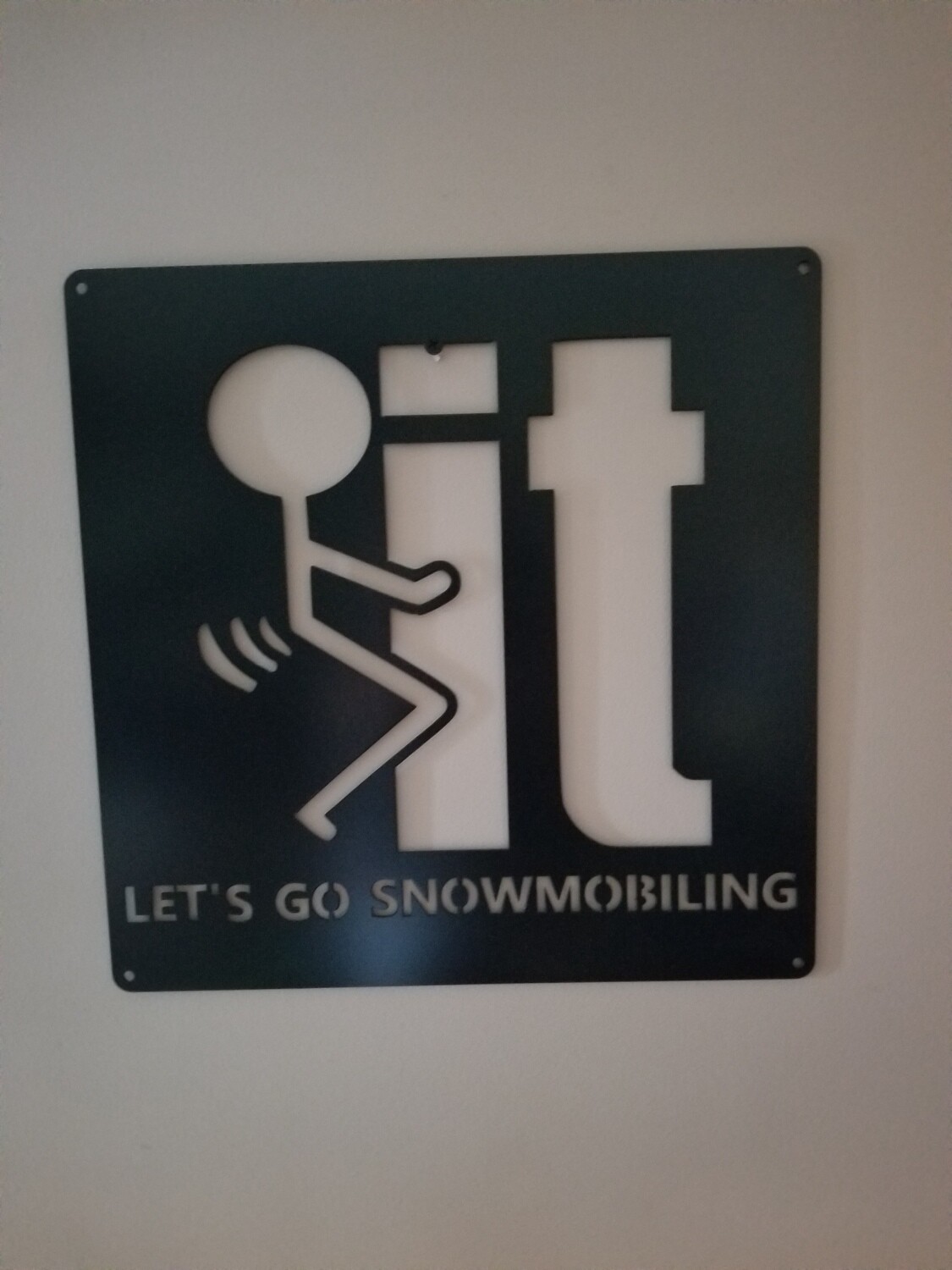 18&quot; x 18&quot; F-It Let&#39;s Go Snowmobiling