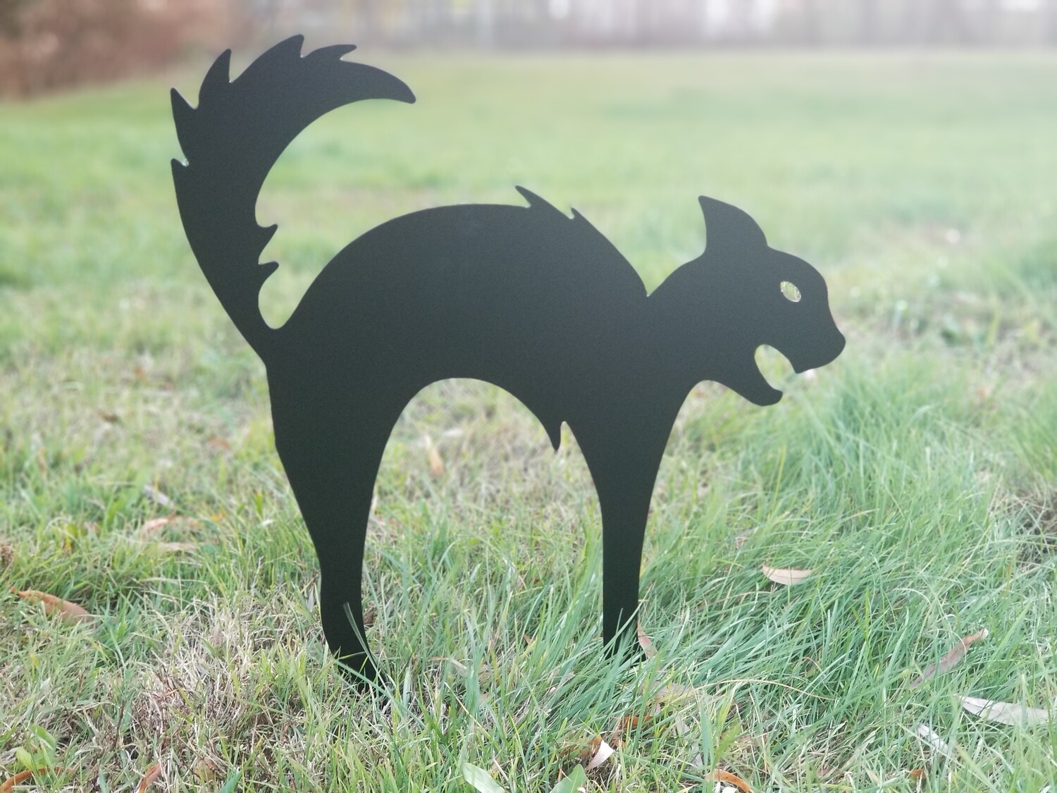 Black Cat