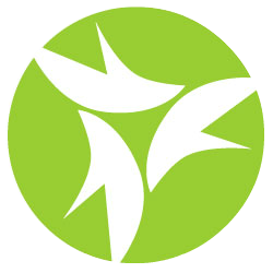 Crazywrapthing