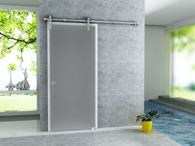 PORTE COULISSANTE VERRE OPAQUE 8MM (102.5X205CM)
