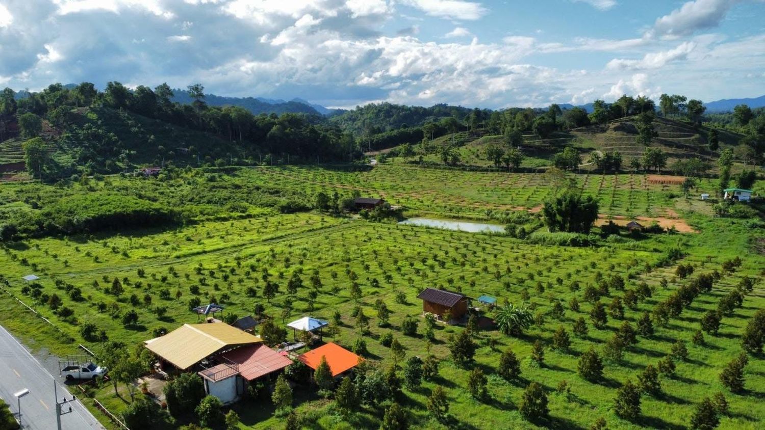 THAILAND LIFESTYLE ESTATE, DURIAN ORCHARD &amp; ESTABLISHED CAFÉ BUSINESS