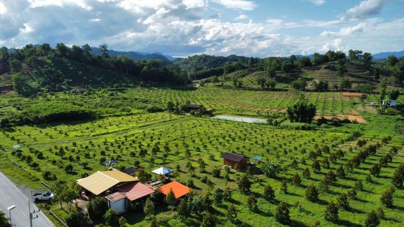 THAILAND LIFESTYLE ESTATE, DURIAN ORCHARD &amp; ESTABLISHED CAFÉ BUSINESS