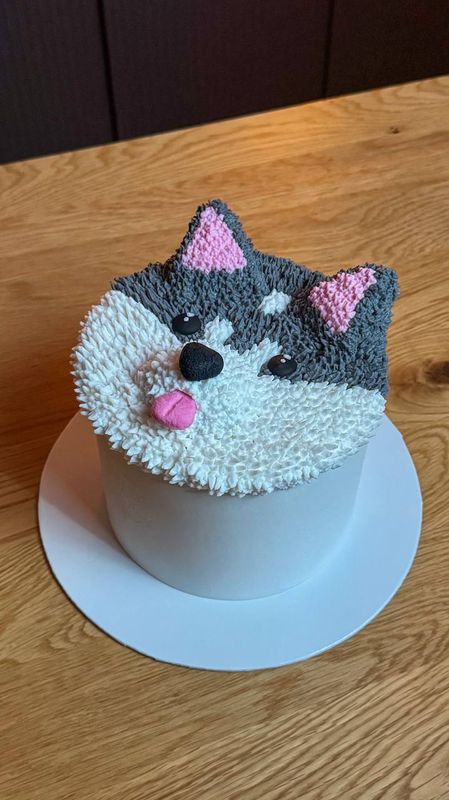 Tort Wegański Husky