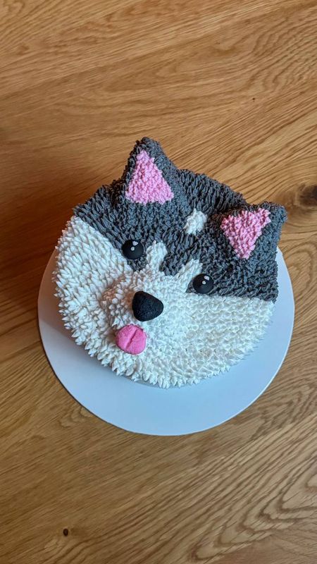 Tort Wegański Husky