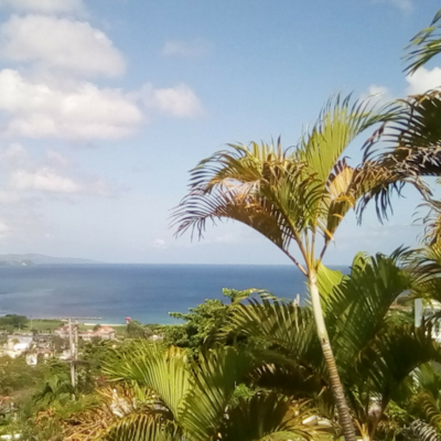 Montego Bay in a Day