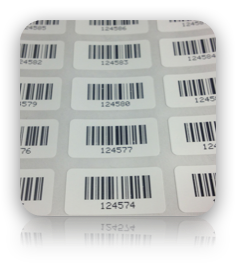 1 X .50 Inch White Polypropylene