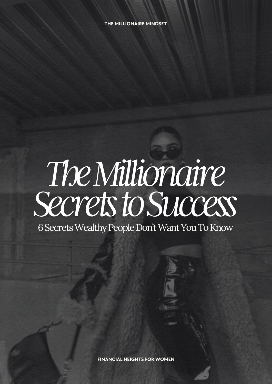 The Millionaire Secrets To Success