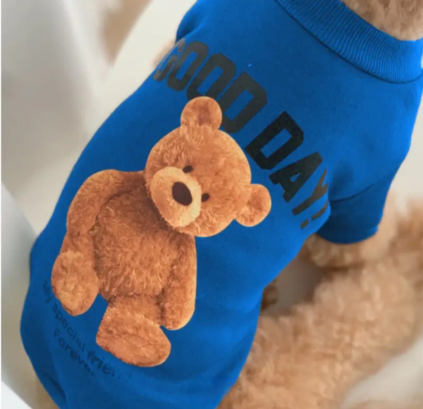 TEDDYBAU