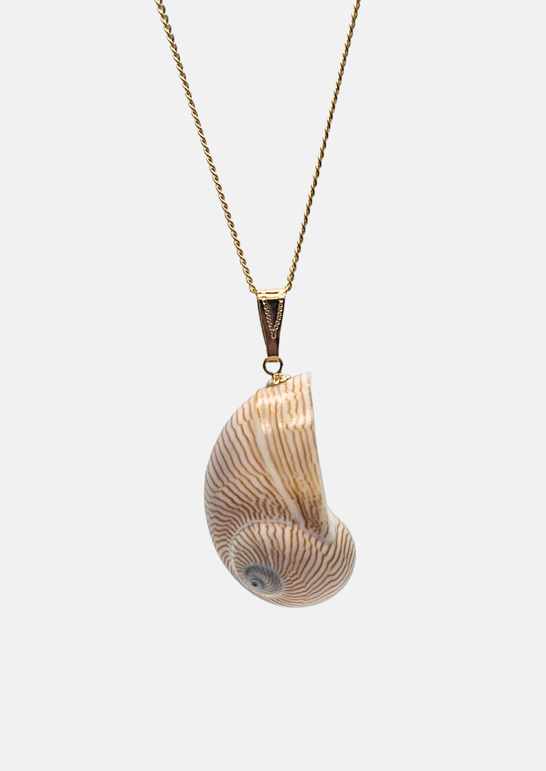 Collier coquillage Line