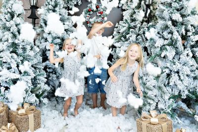 Christmas Items & Tree Hire
