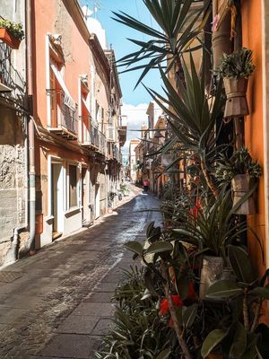 VINERIA VILLANOVA, CAGLIARI