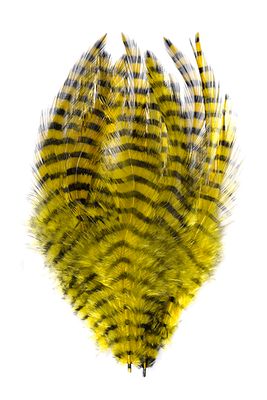 MFC Barred Saddle Hackle