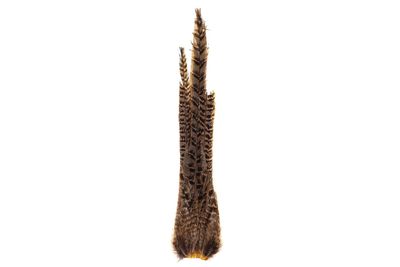 Hareline Ringneck Pheasant Complete Tail Clump