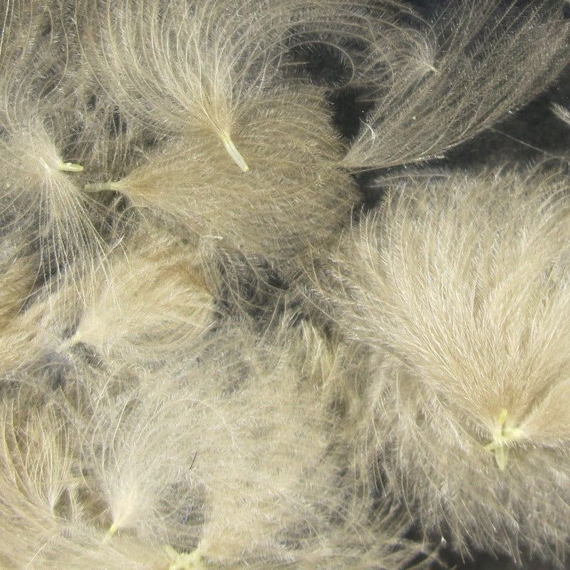 Hareline CDC, Colour: Natural