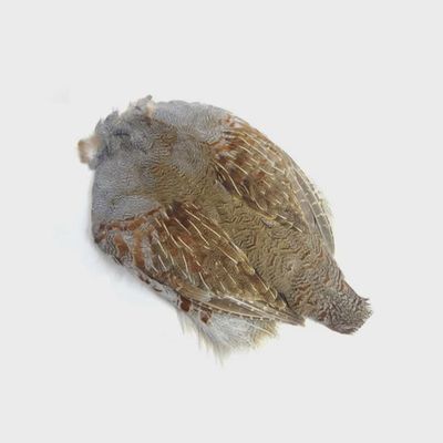 Hareline Grade #1 Hungarian Partridge Skin