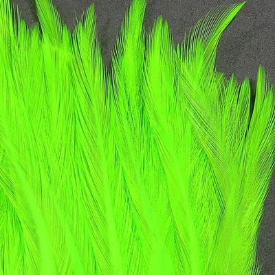 Feathers