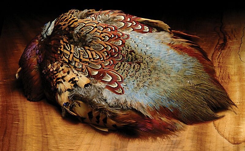 Hareline Ringneck Pheasant Skin