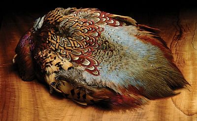Hareline Ringneck Pheasant Skin