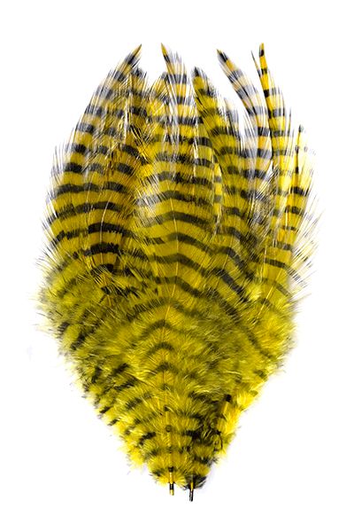 MFC Barred Saddle Hackle, Colour: Yellow/Black