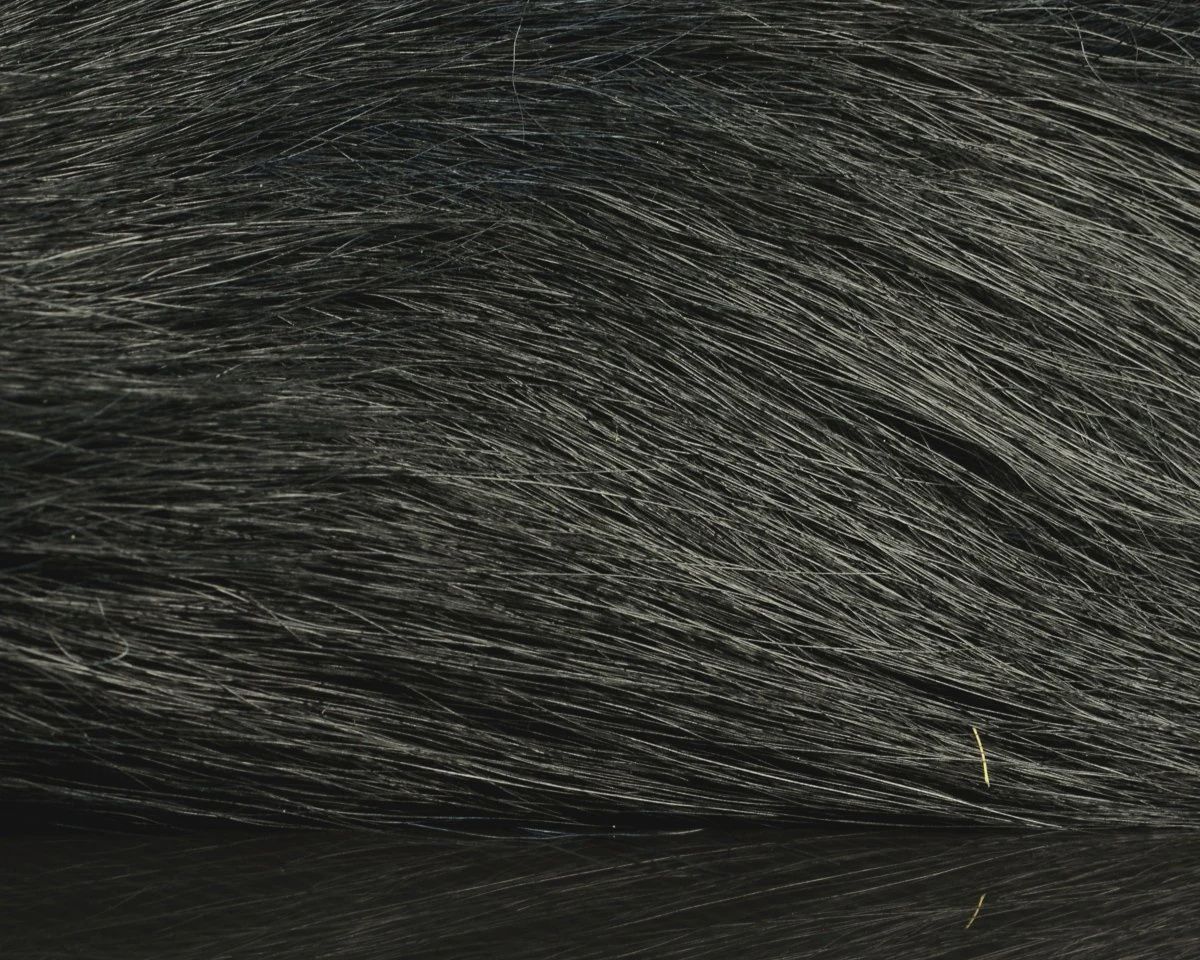 Hareline Northern Bucktail, Colour: Black