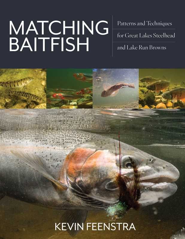Matching Baitfish by Kevin Feenstra