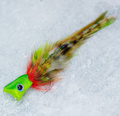 SpaceCoast Swamp Donkey Popper