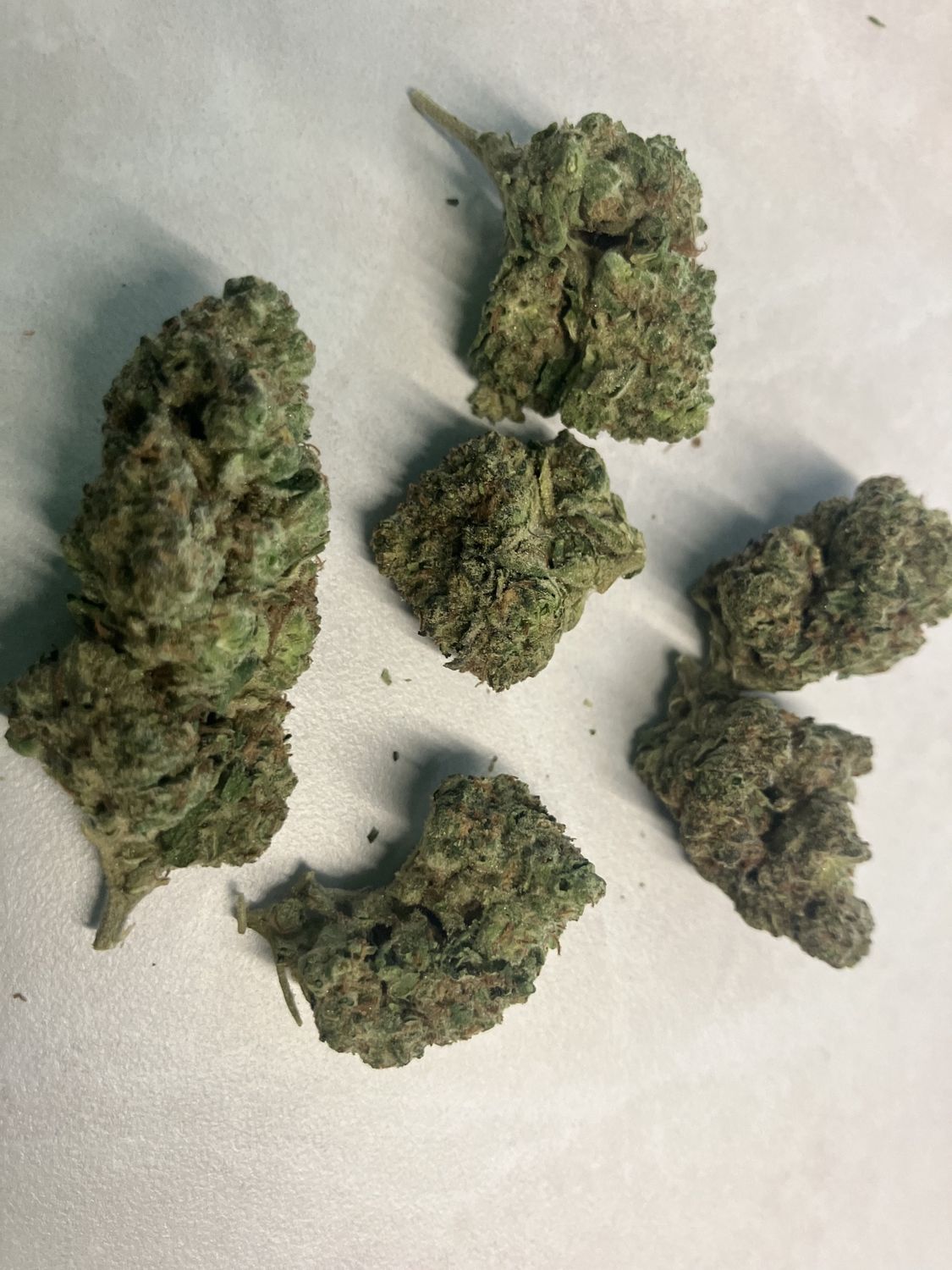 Flower- Candy Cane