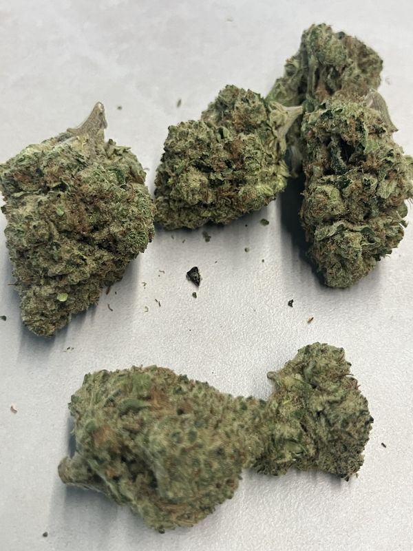 Flower- Orange Creamsicle