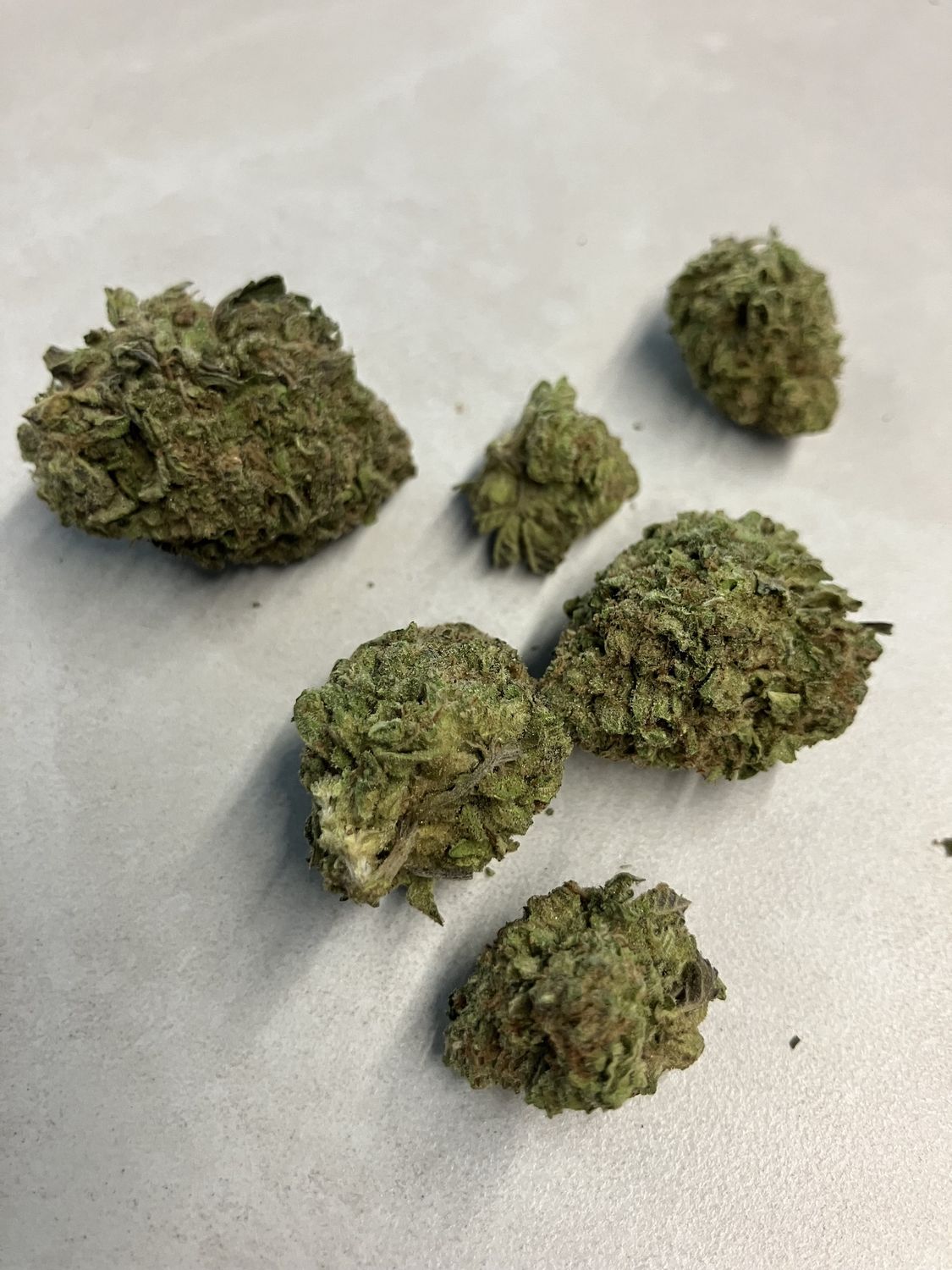 Flower- Runtz OG