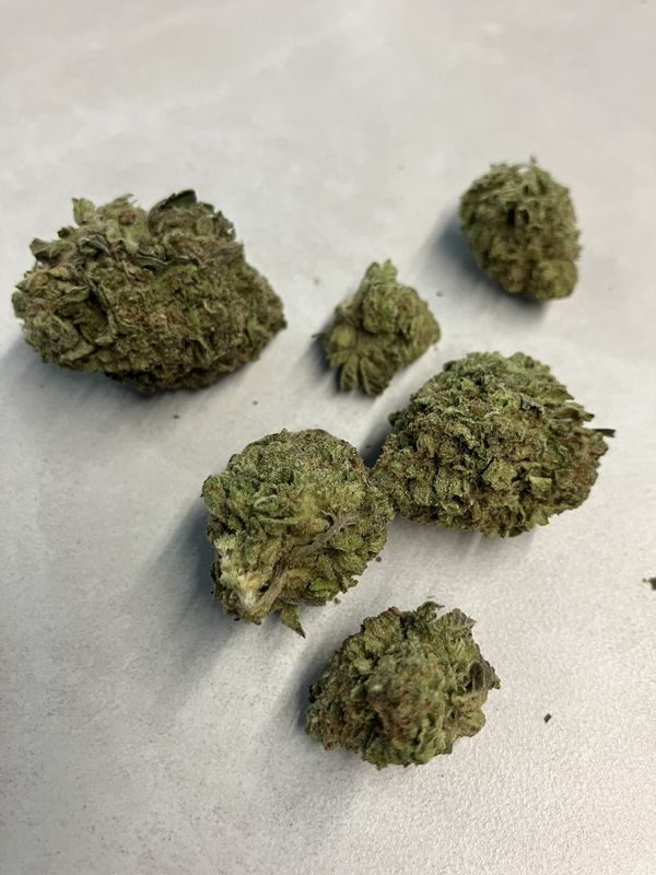 Flower- Runtz OG