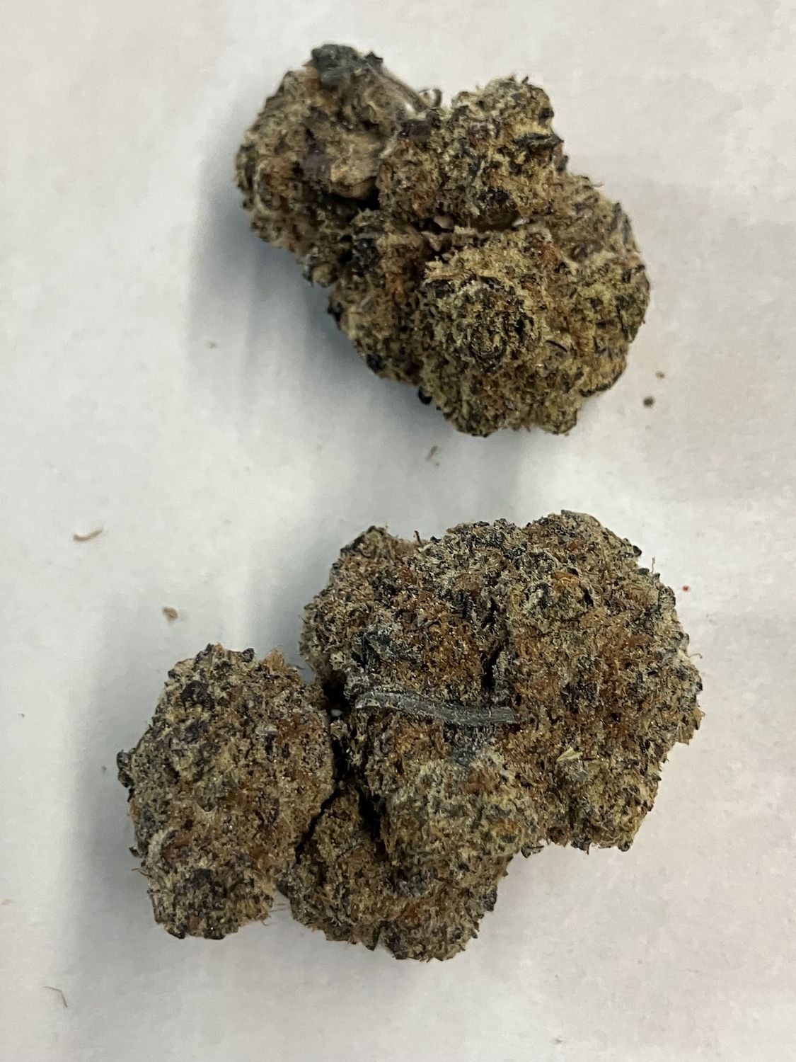 Flower- Black Truffle
