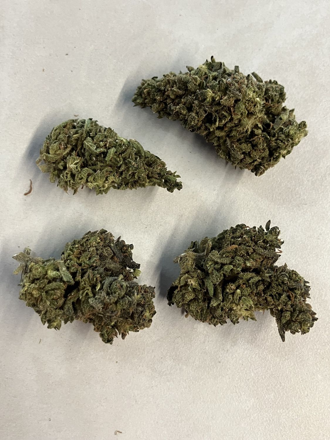 Flower- Tangerine Dream