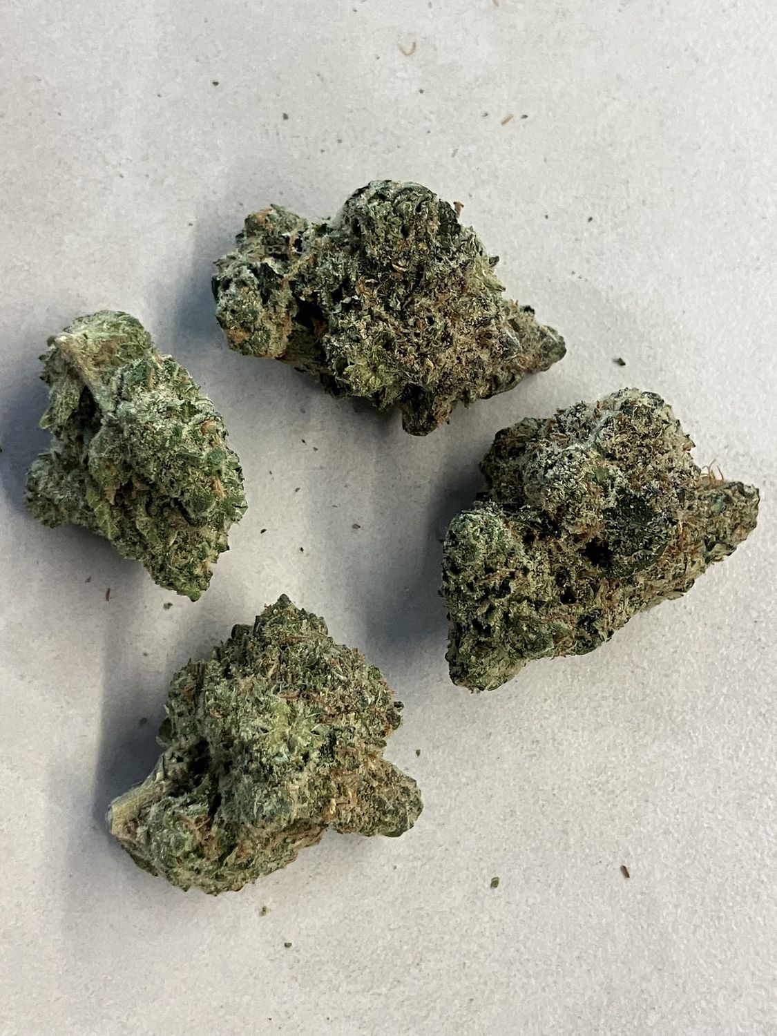Flower- Blue Dream