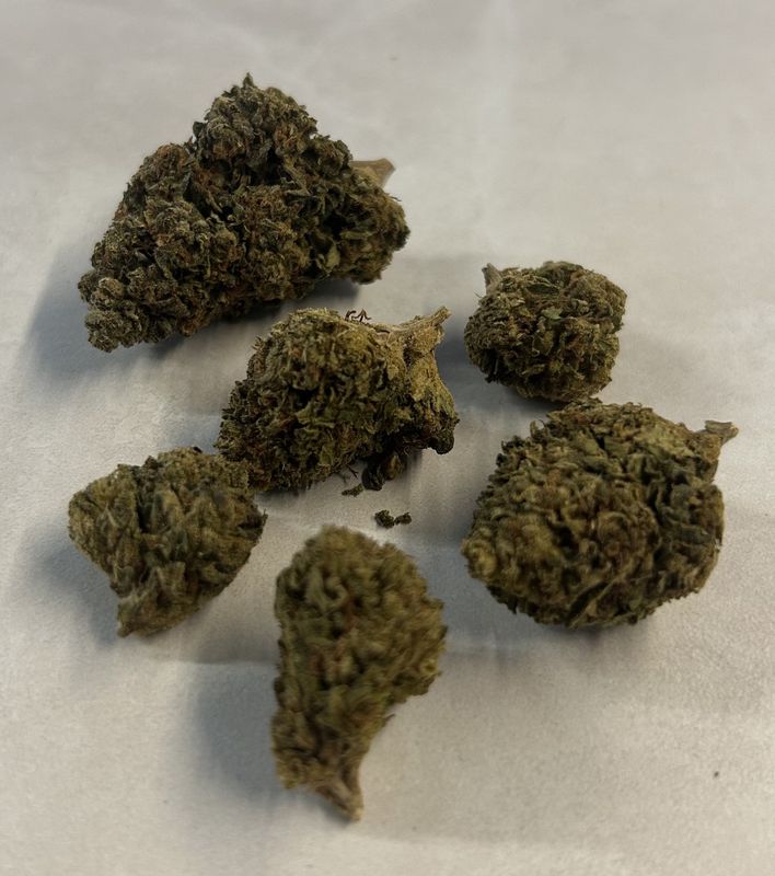 Flower- Champagne Kush