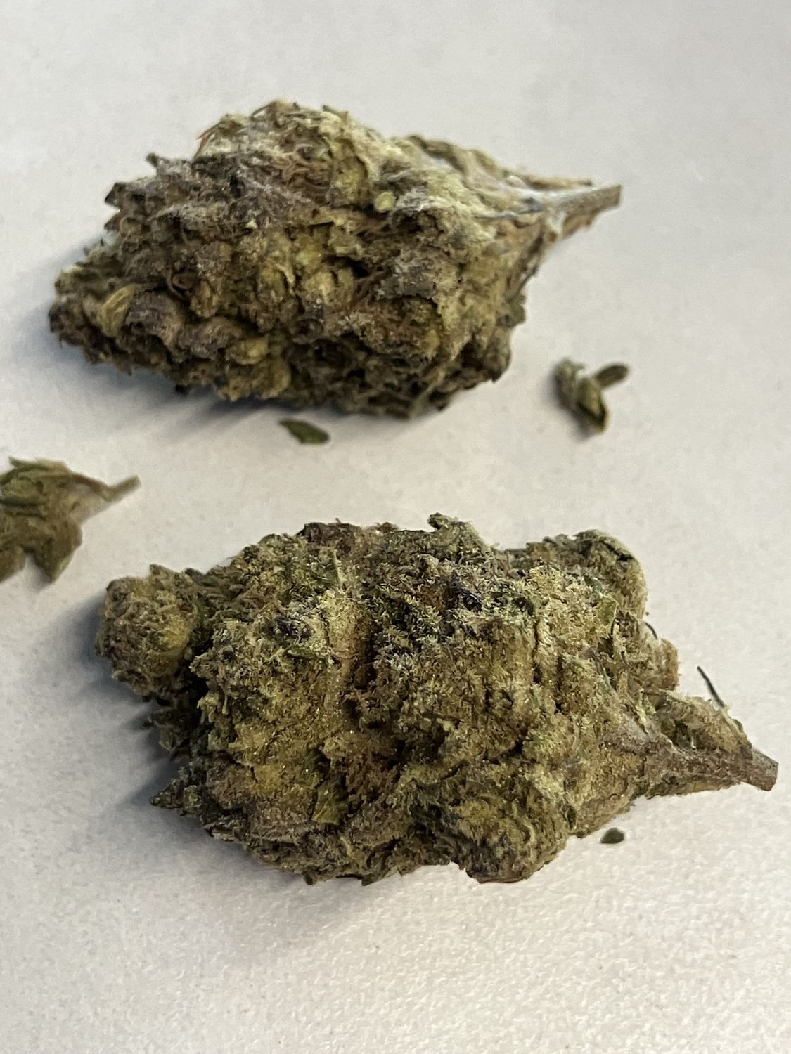 Flower- Lemon Cherry Gelato