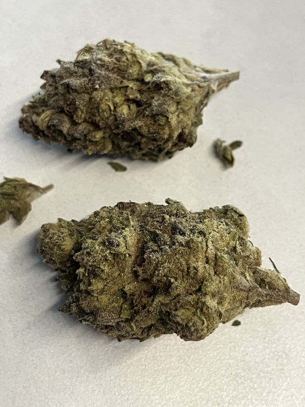 Flower- Lemon Cherry Gelato