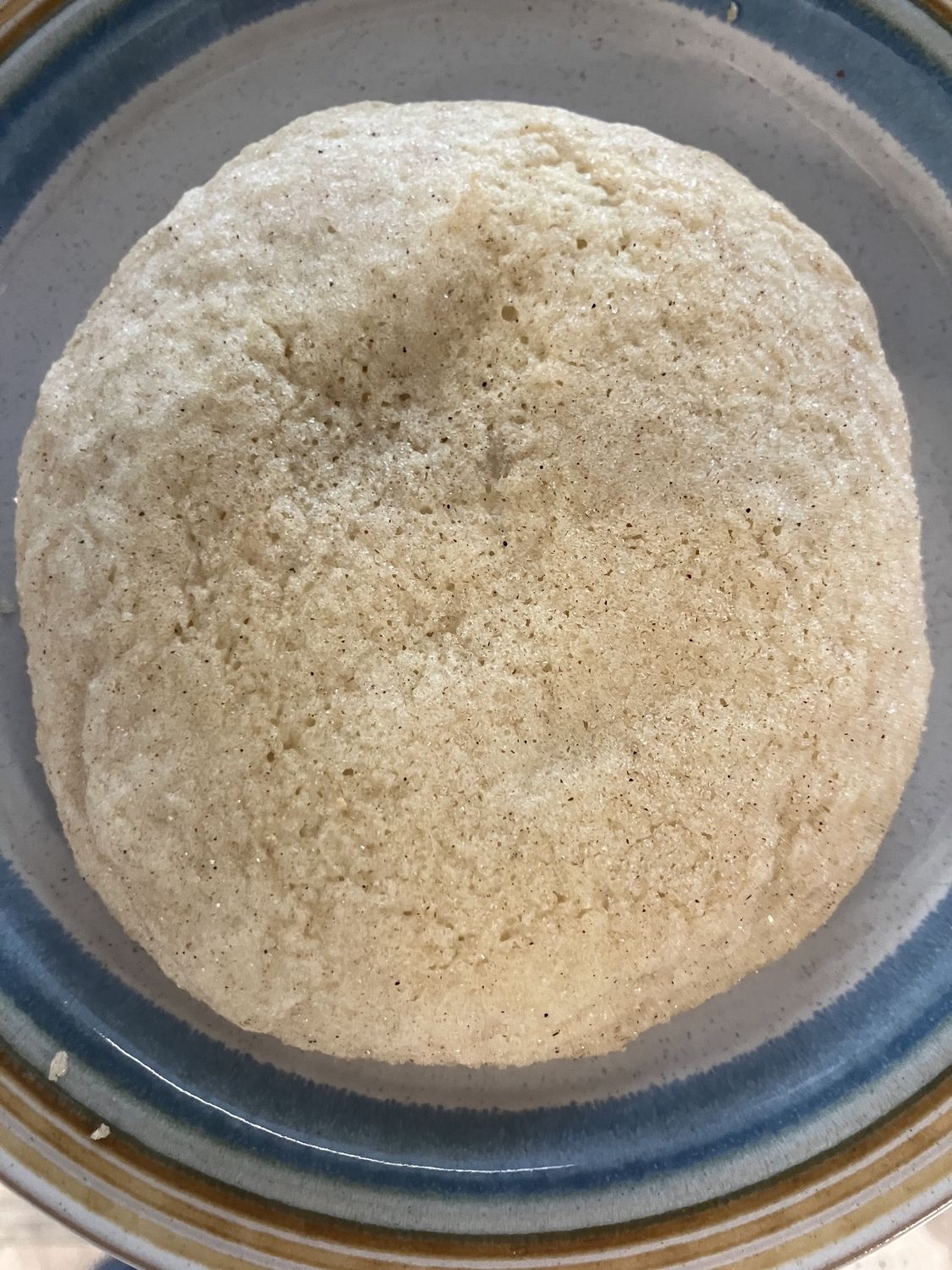Baked Good-Snicker Doodle Cookie