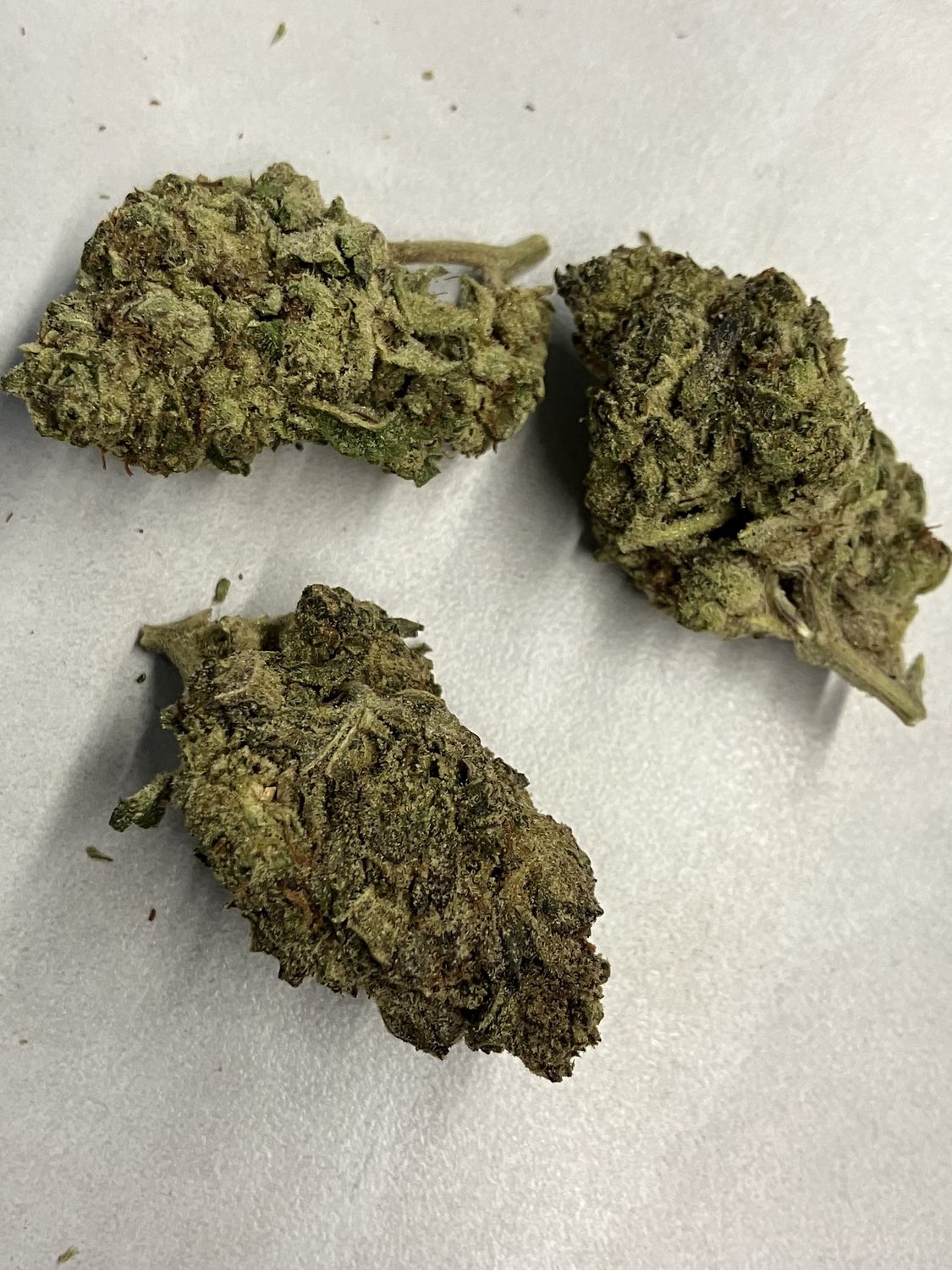 Flower- Gotti OG