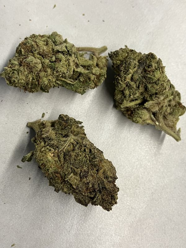 Flower- Gotti OG