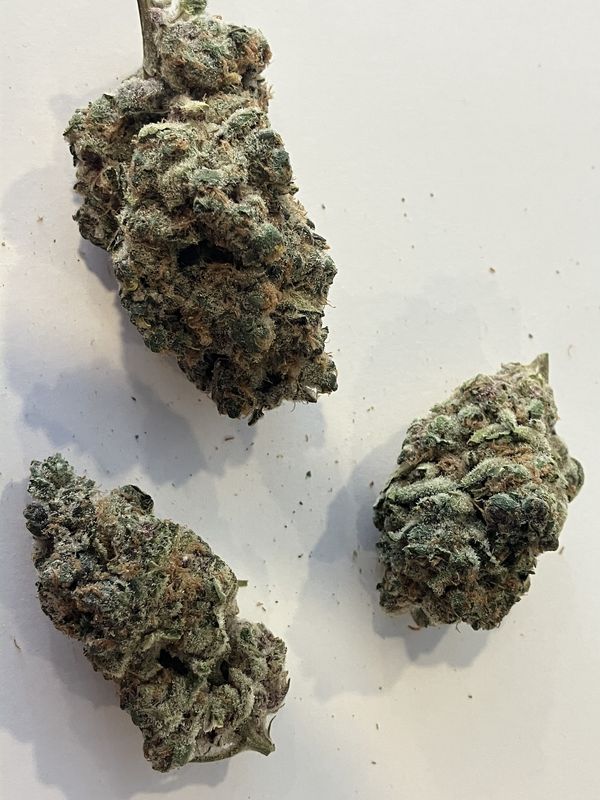 Flower- Peaches &amp; Cream