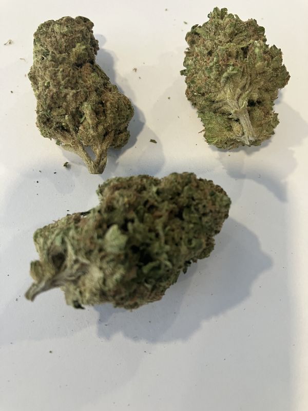 Flower- Acapulco Gold