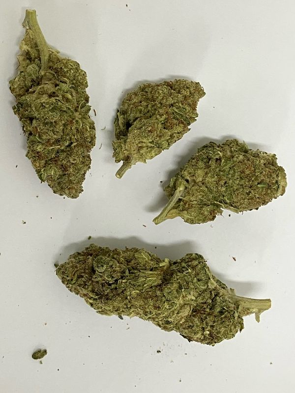 Flower- Wedding Crasher