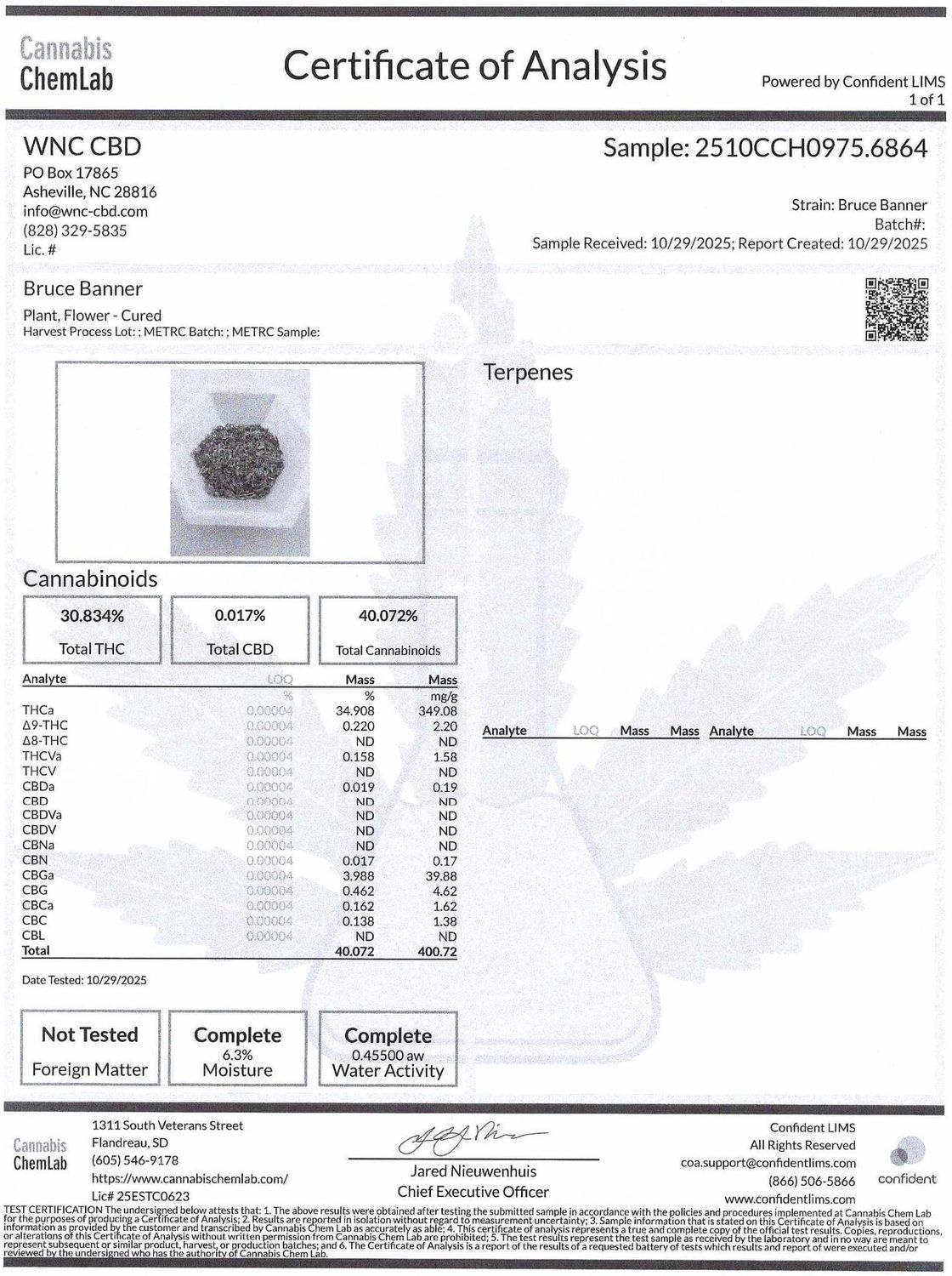 Flower- Bruce Banner