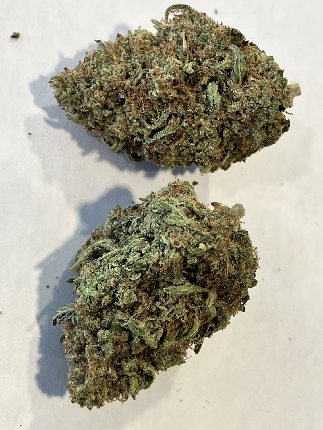 Flower- Fruity Pebbles