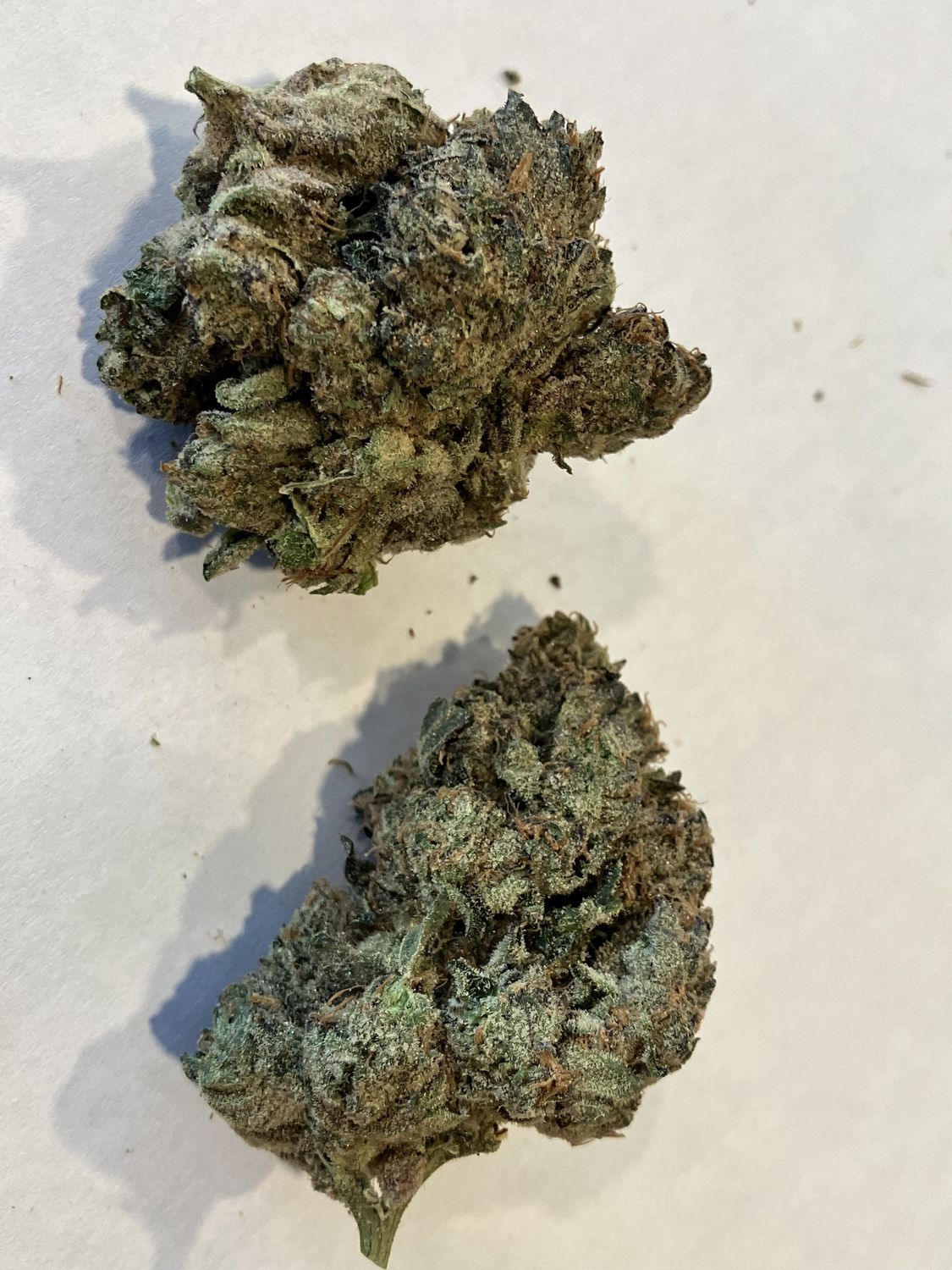 Flower- Ghost Train Haze