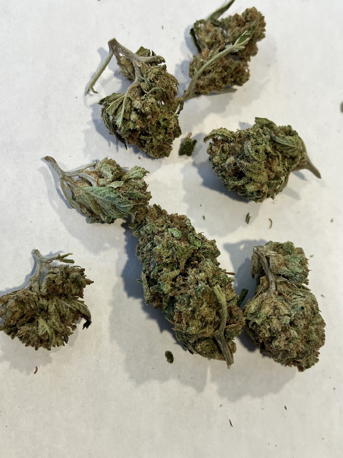 Flower- Grease Monkey